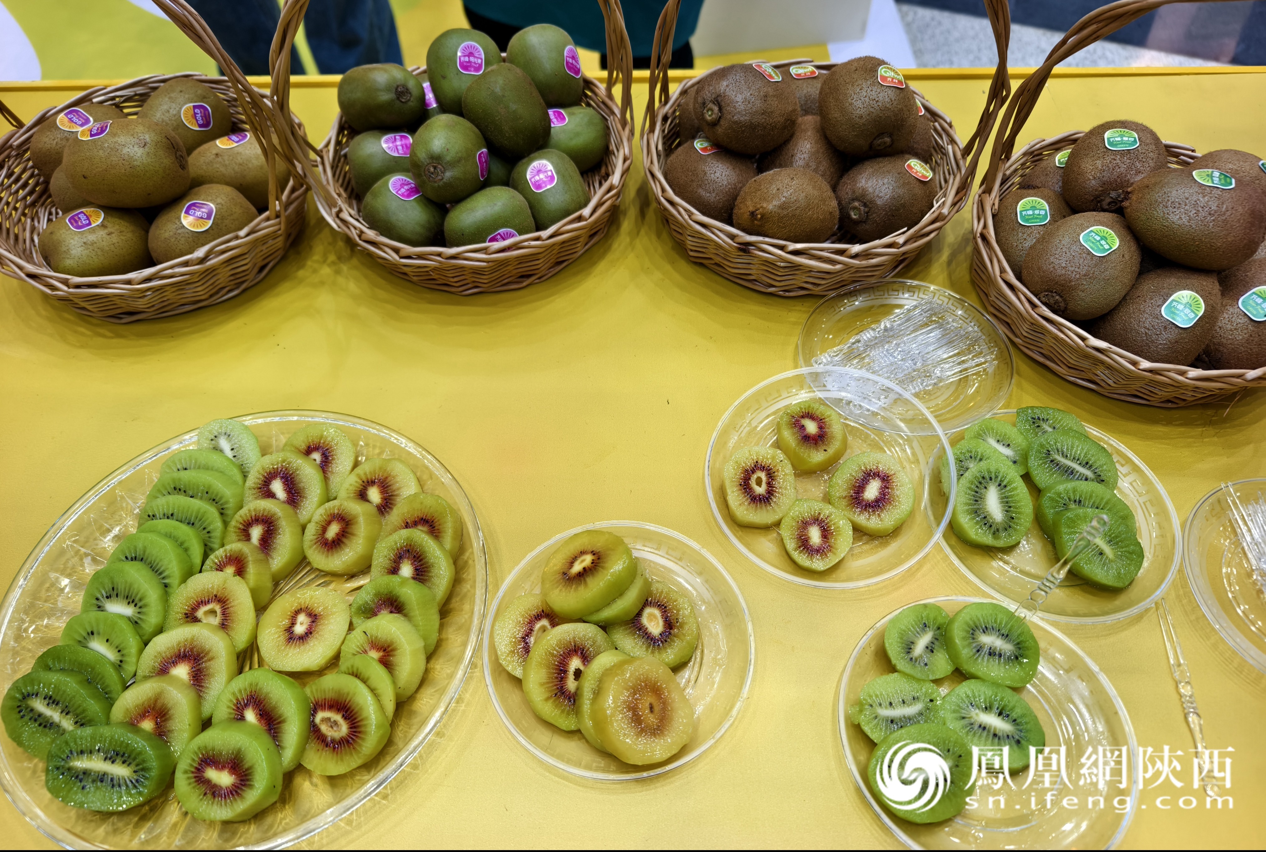 《乡村中国说》会客厅对话眉县猕猴桃高质量发展