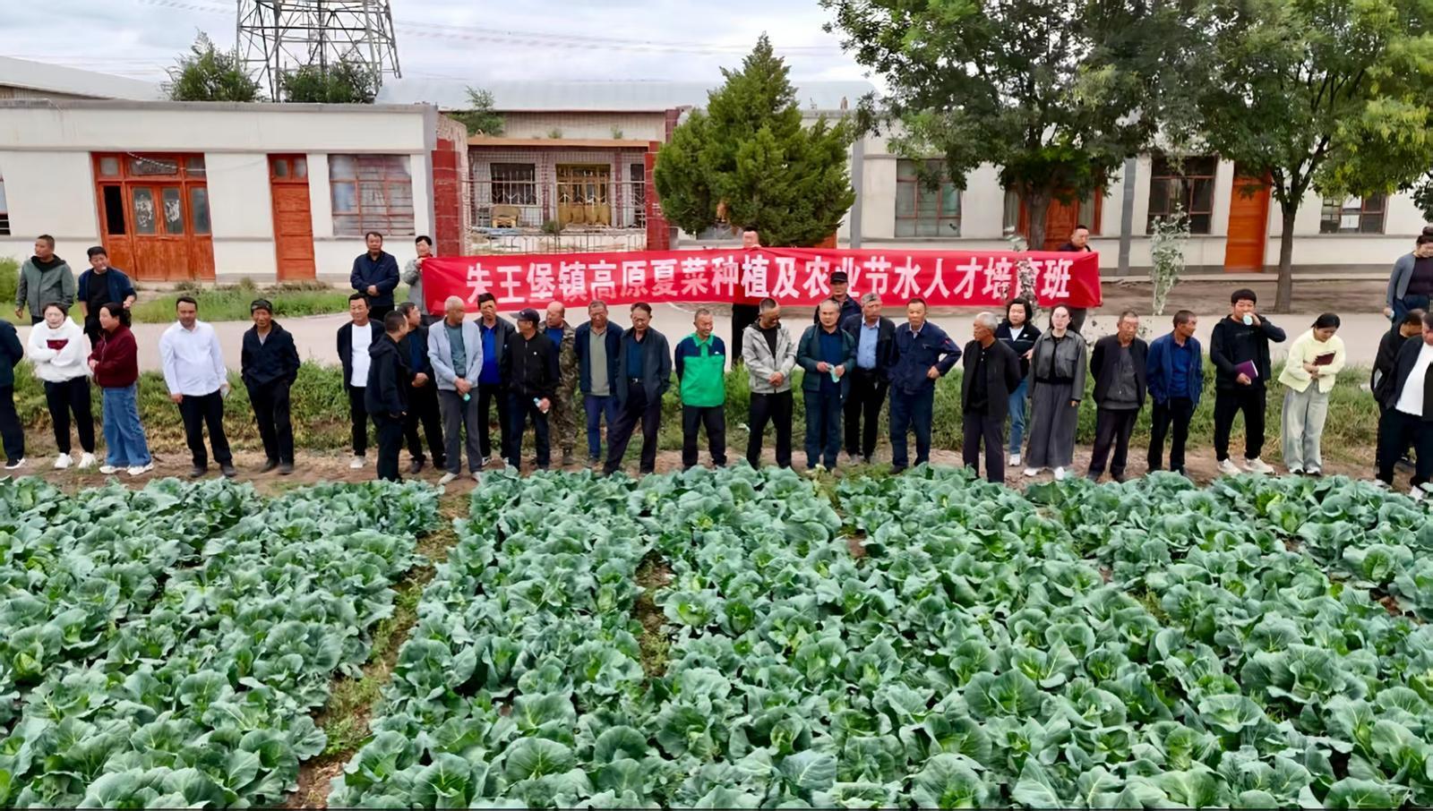 朱王堡镇高原夏菜种植及农业节水培训班的田间教学现场