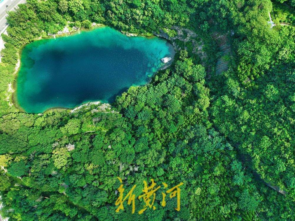 一年四季 泉在济南丨初秋胜景 济南燕翅山翠松环绕映砚池