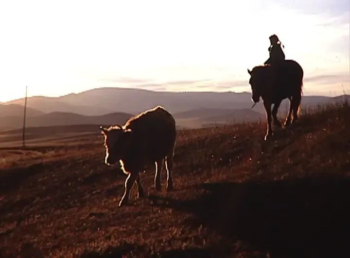 “大人的苦是不一样的苦,但变成大人会好很多的”