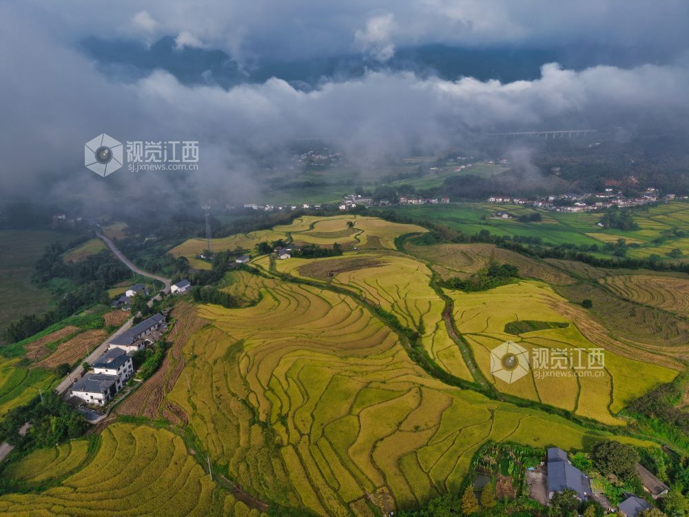 宜春：潭山梯田迎丰收图景（图）