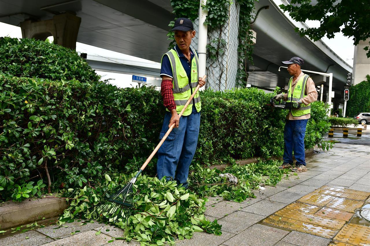 图7：园林工人剪枝修叶，替绿植“美容”.JPG