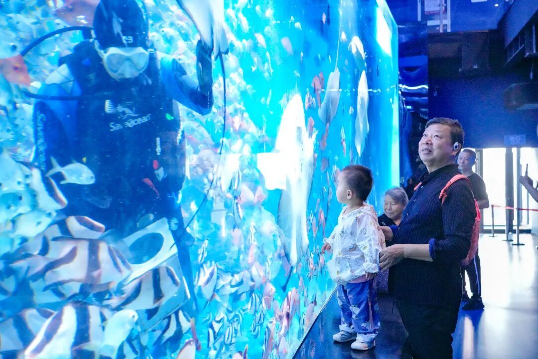 以实干点燃项目引擎 徐州泉山掀起高质量发展新热潮