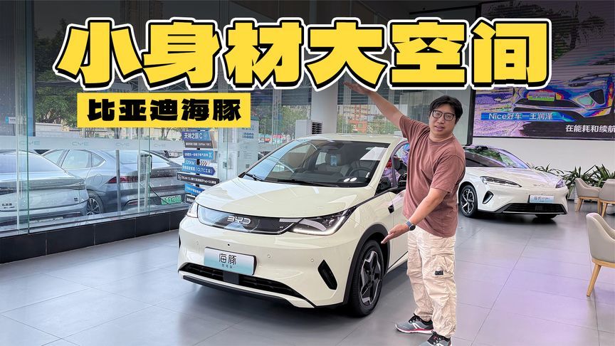 优惠8000元！比亚迪海豚只需要9万出头了？