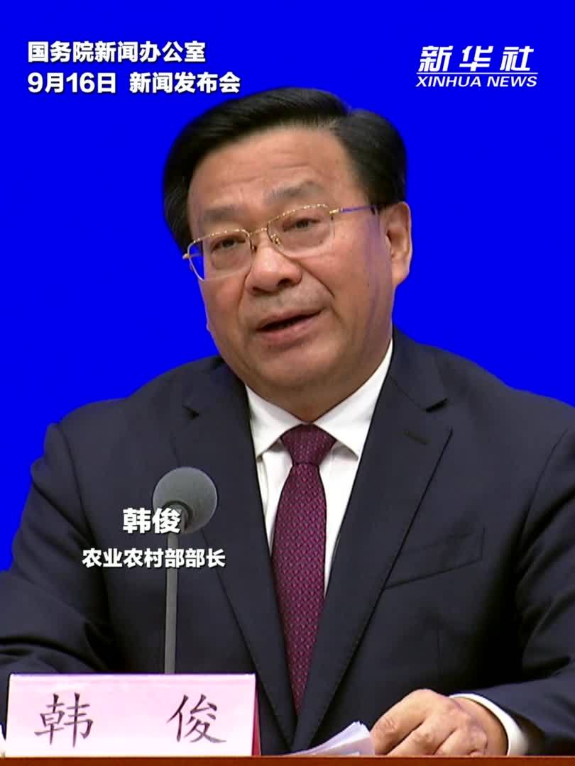 2024年农村居民人均可支配收入达到23119元