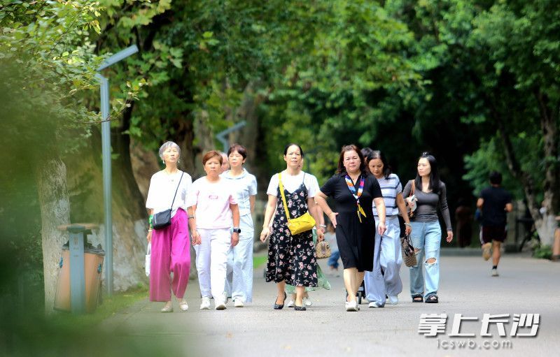 今日,长沙降温,湖南烈士公园迎市民“清凉之约”。均为长沙晚报全媒体记者贺文兵摄