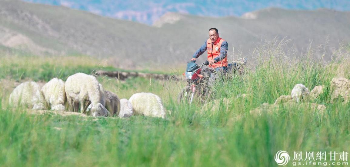 牧羊人梁民军与尖山草原结缘20年,如今身兼管护员身份。