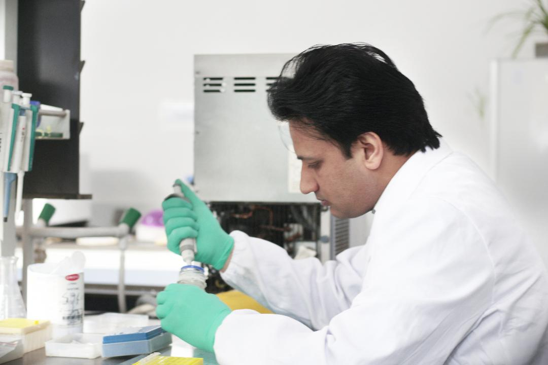 马利克在做实验