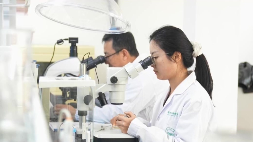 甘肃新闻丨让科技成果加速变为推动发展的新质生产力