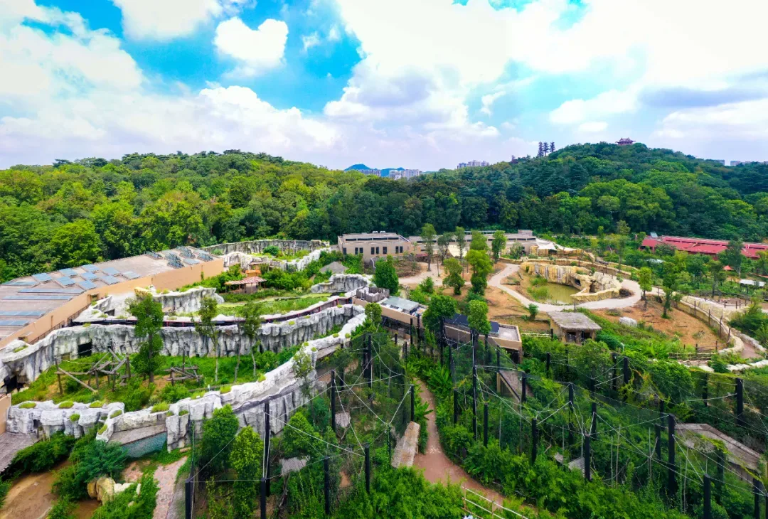 红山森林动物园南门新区全貌