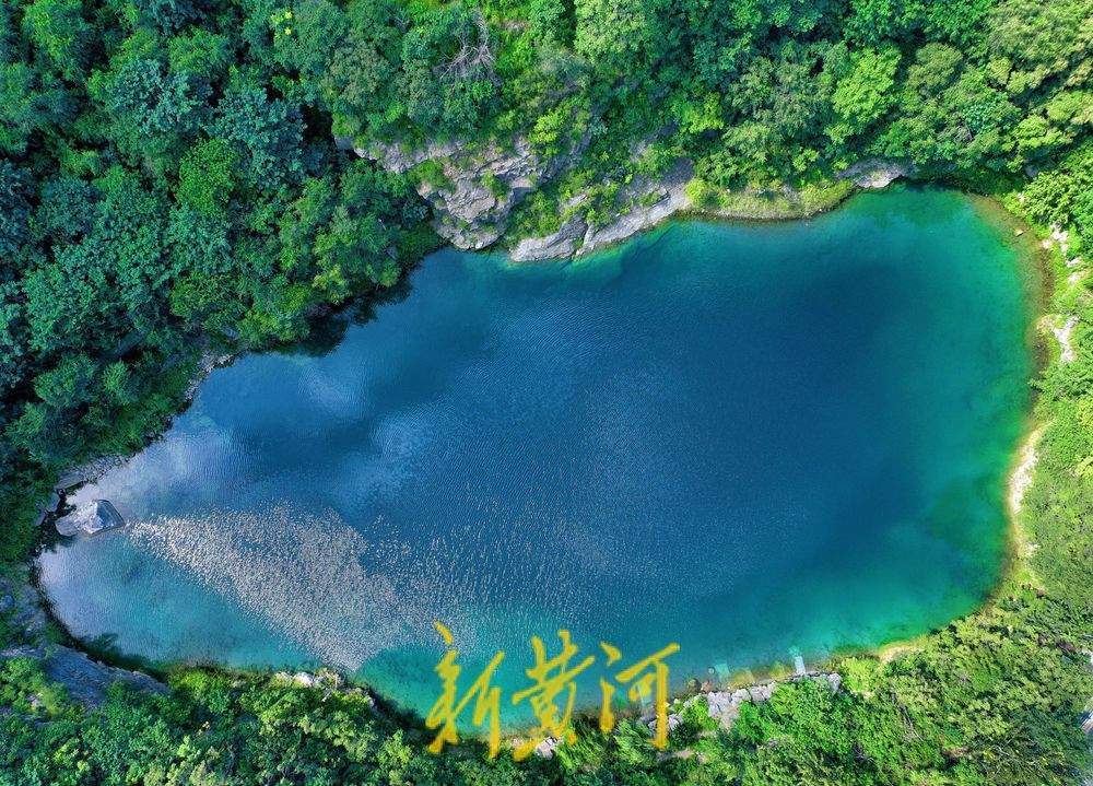 一年四季 泉在济南丨初秋胜景 济南燕翅山翠松环绕映砚池