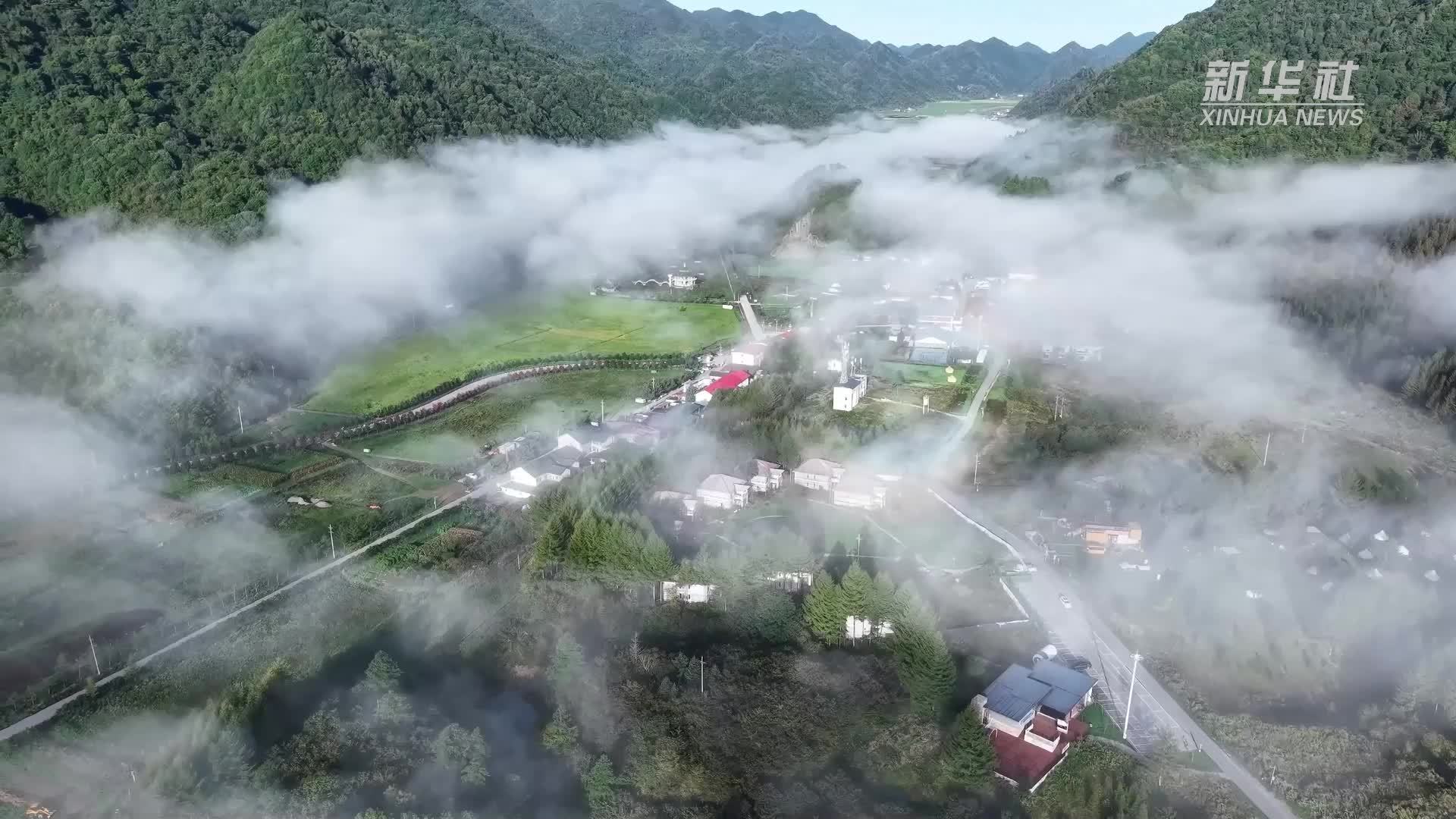 重庆最高海拔自行车赛在红池坝激情开赛