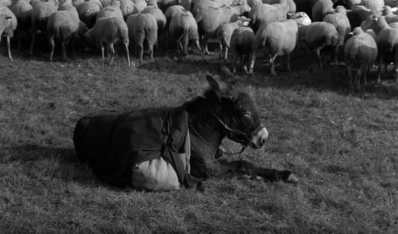 “大人的苦是不一样的苦,但变成大人会好很多的”