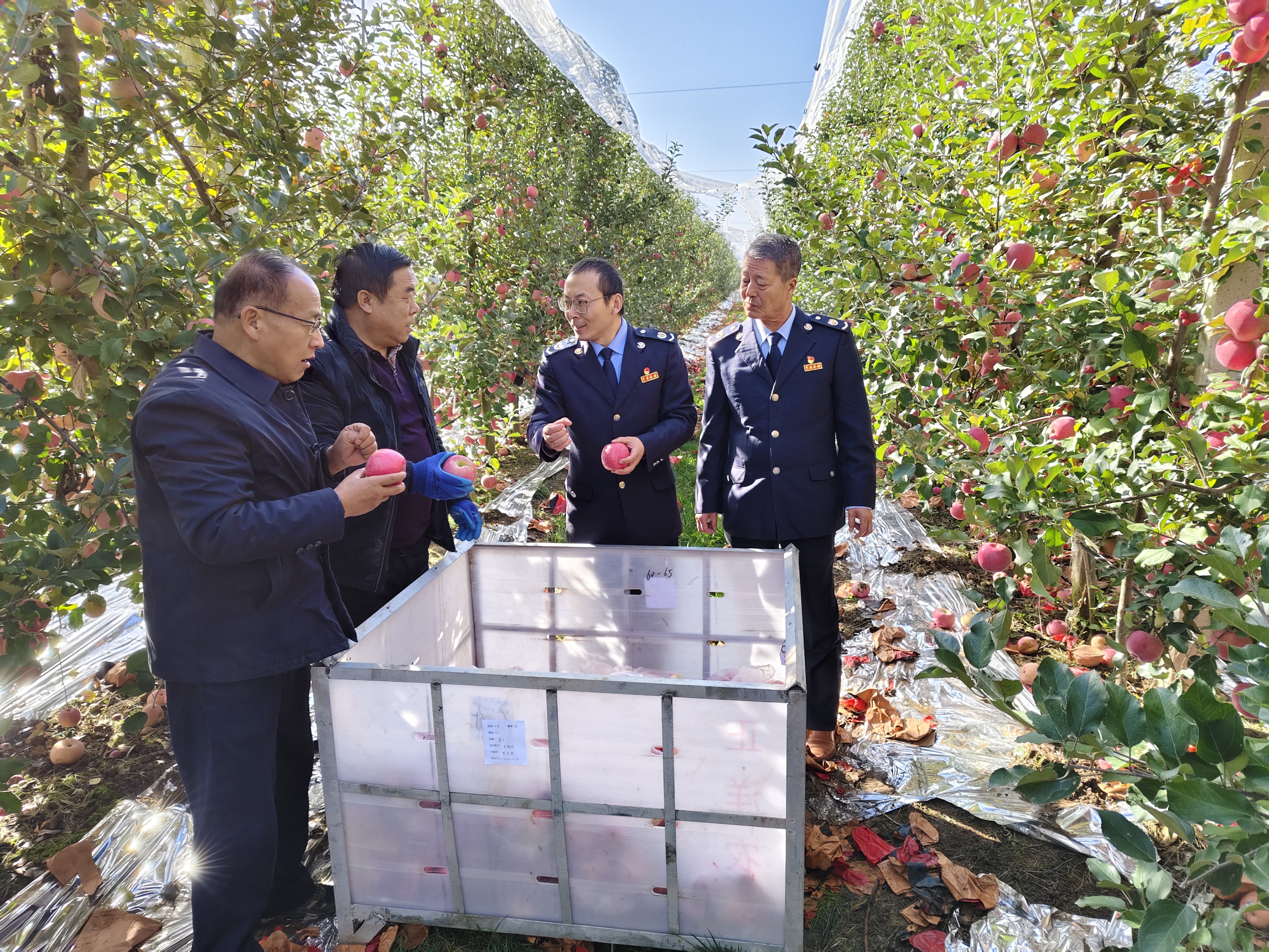 税务干部进果园了解生产情况并宣传涉农税费优惠政策