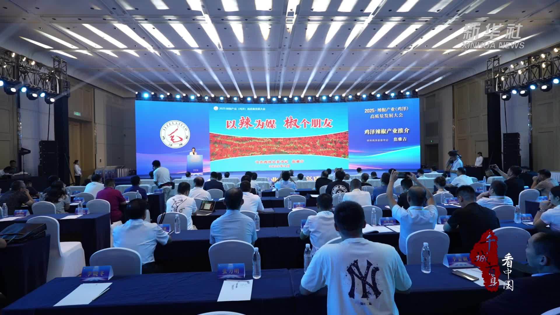 千城百县看中国｜河北鸡泽：聚才汇智推动辣椒从“种得好”向“卖得好”转型