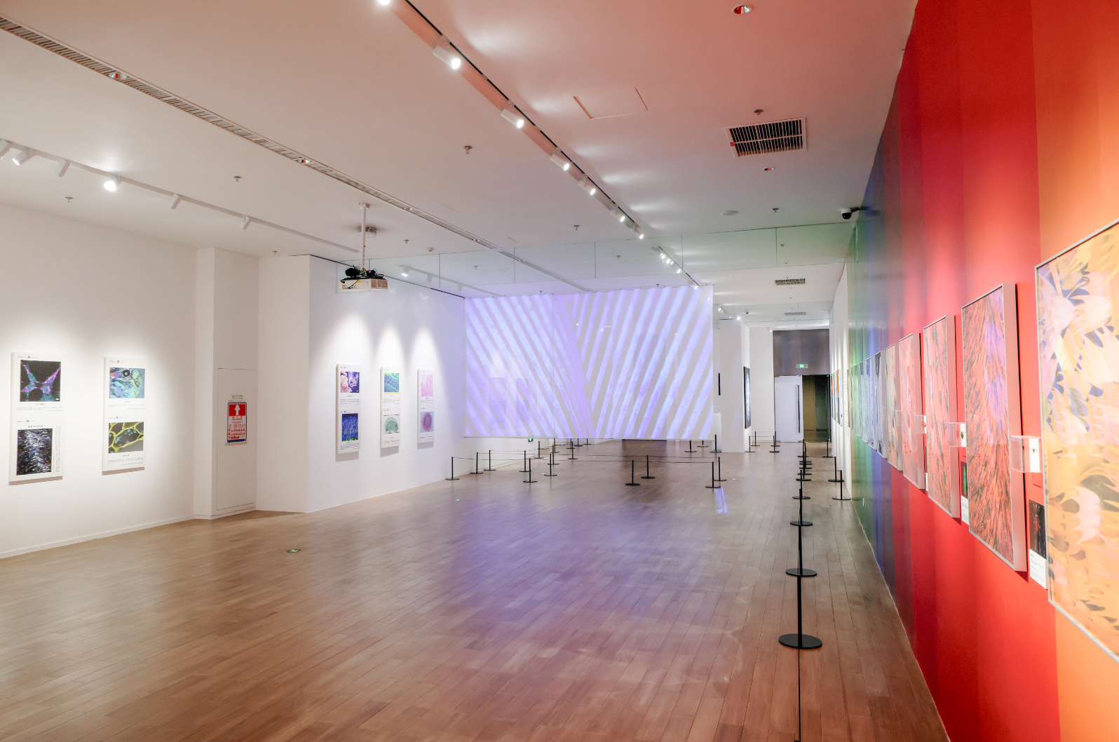 让艺术之光照进科学之城丨光明文化艺术中心2025周年艺术季暨开幕五周年发布会盛大举行