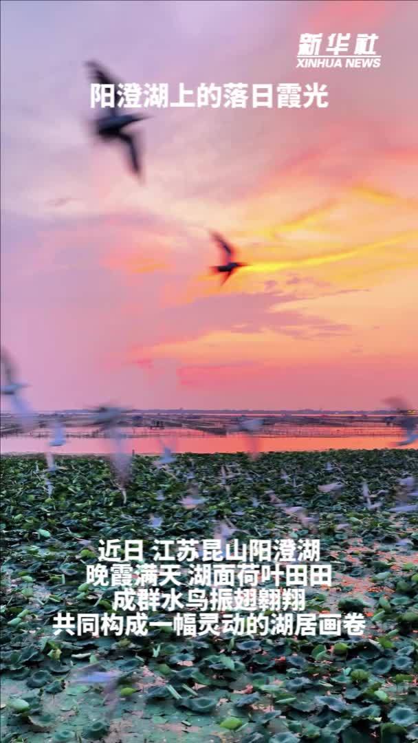 秀我中国｜阳澄湖上的落日霞光