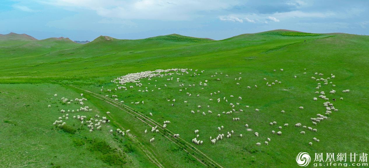 白色羊群点缀在尖山草原,宛如一幅美丽画卷。