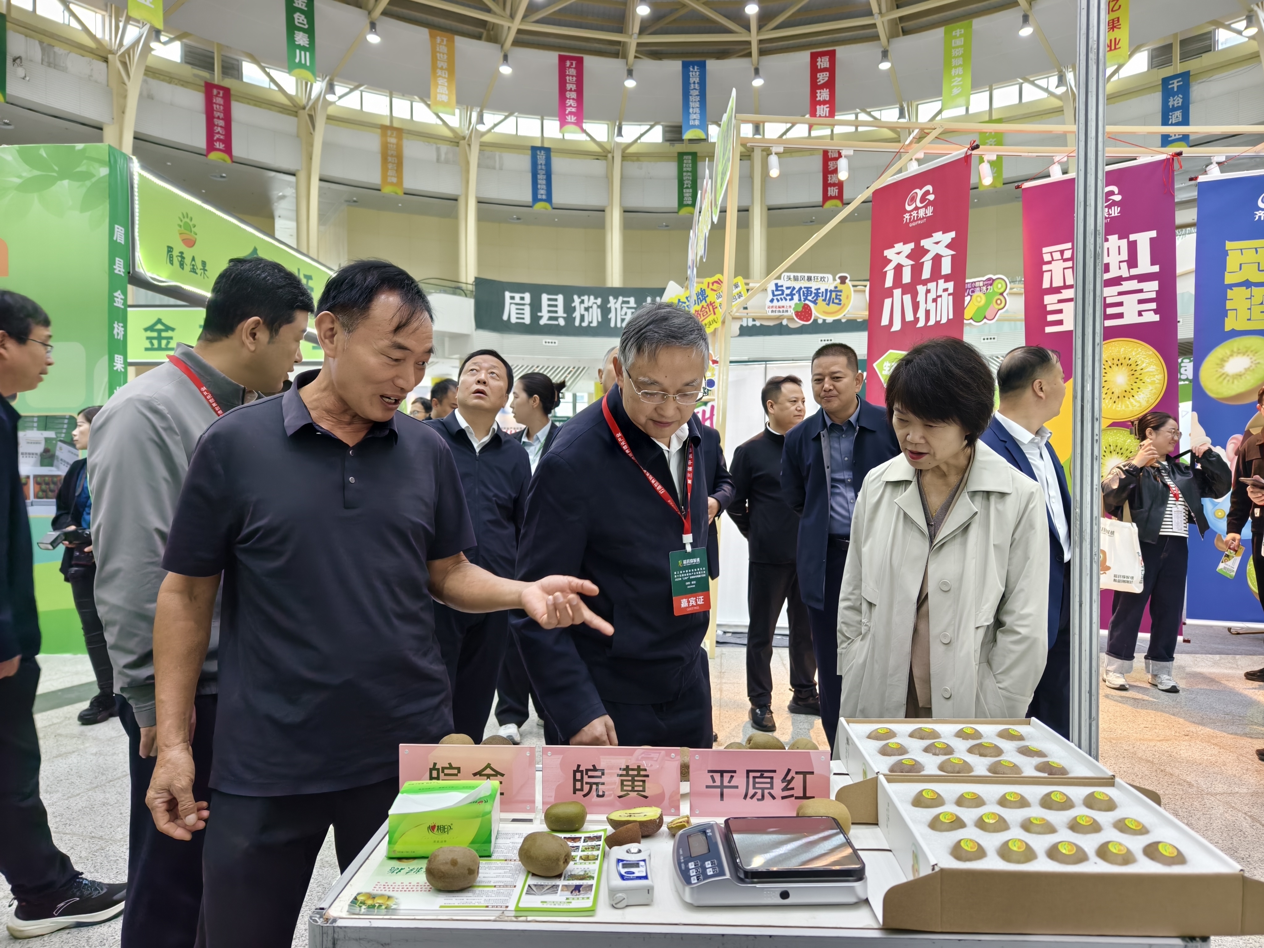 展示新成果共绘新蓝图 第三届中国猕猴桃博览会在陕西眉县开幕