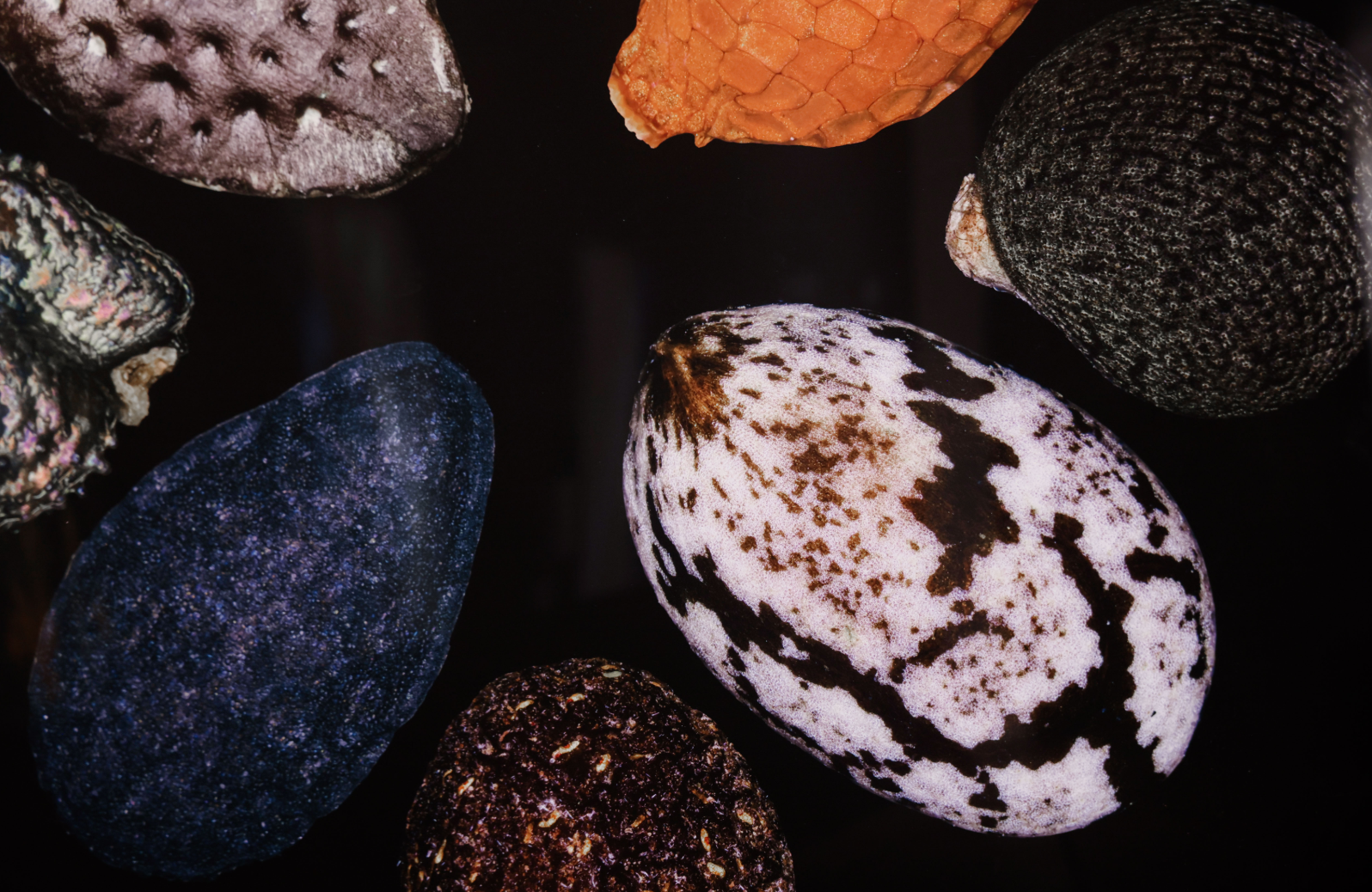 让艺术之光照进科学之城丨光明文化艺术中心2025周年艺术季暨开幕五周年发布会盛大举行