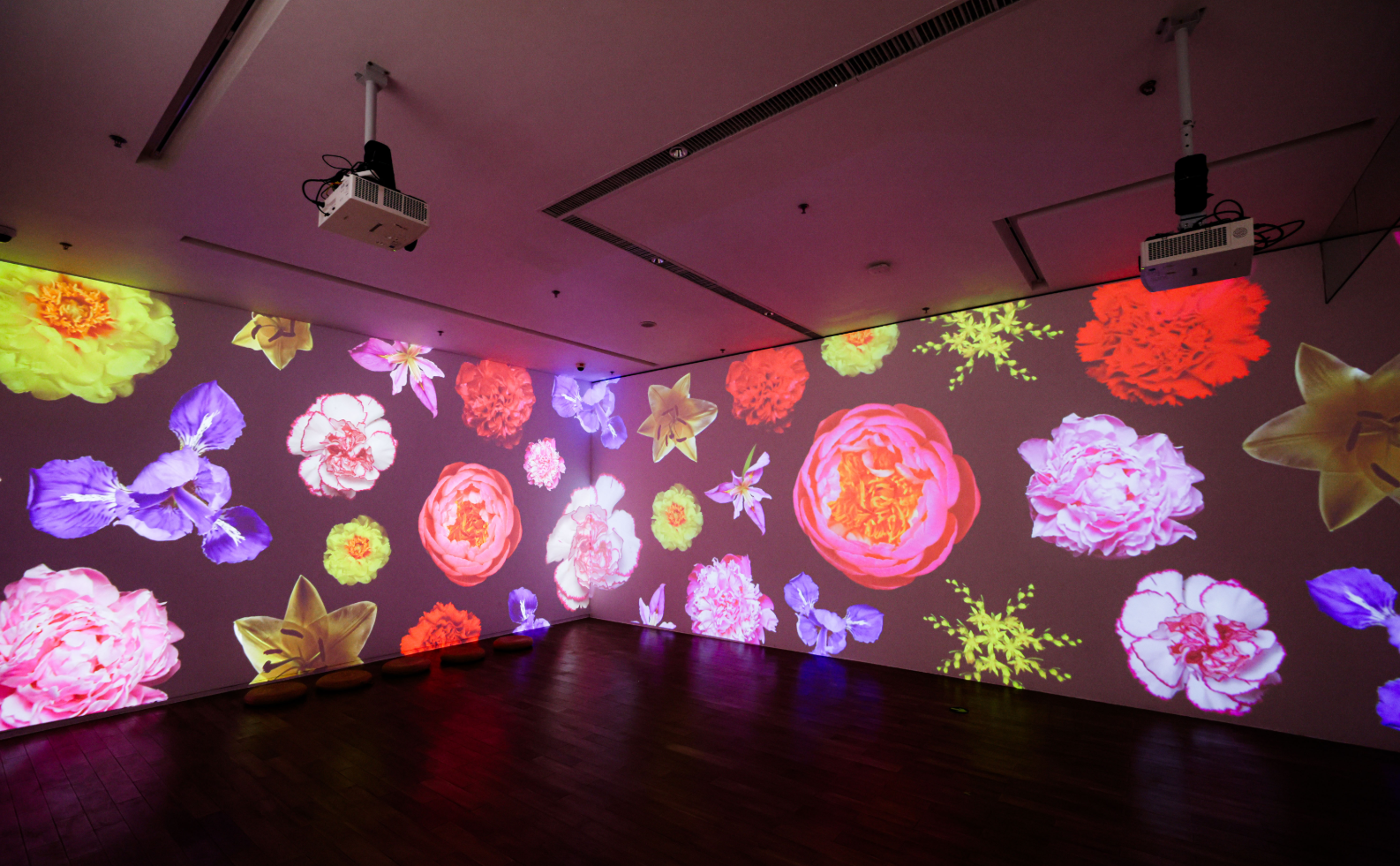 让艺术之光照进科学之城丨光明文化艺术中心2025周年艺术季暨开幕五周年发布会盛大举行