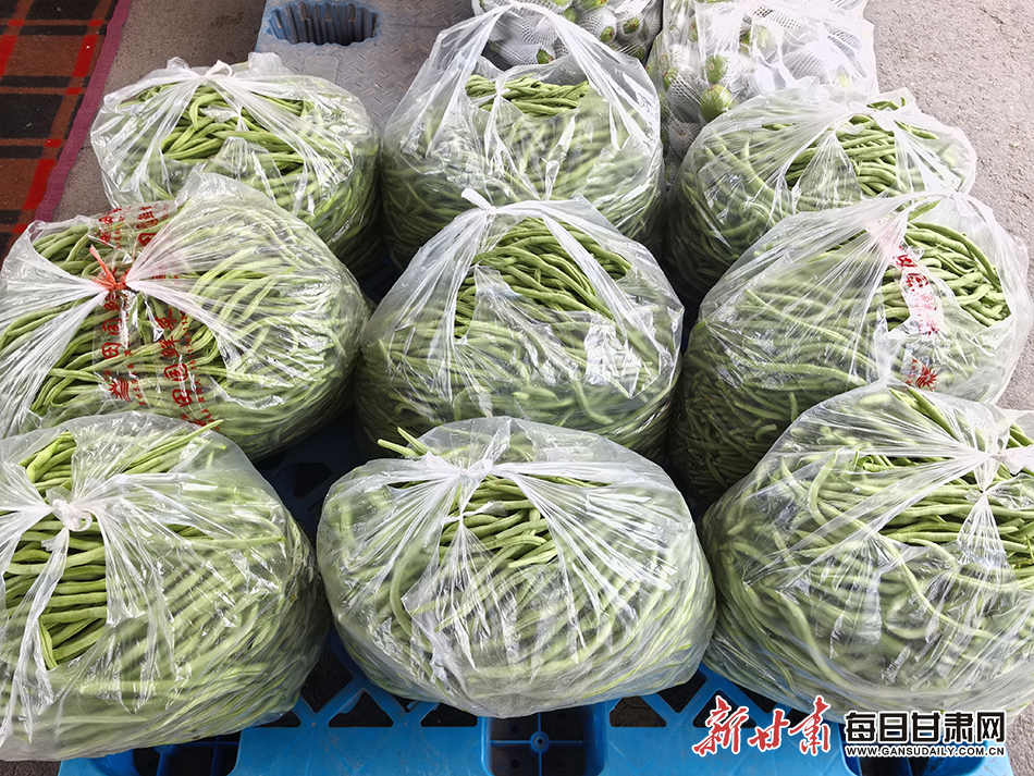 市场里打包待销的豆角 新甘肃·每日甘肃网记者 张春燕 摄
