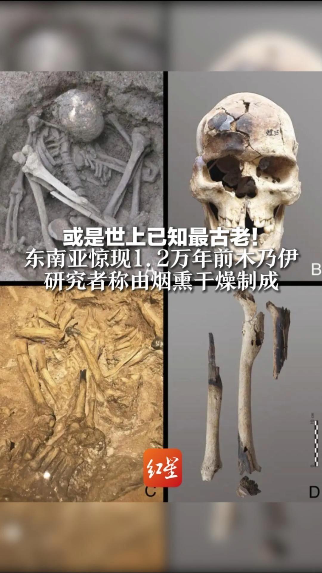 或是世上已知最古老！东南亚惊现1.2万年前木乃伊  研究者称由烟熏干燥制成：能让人与祖先保持“身心联系”