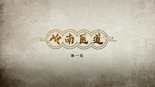 岭南医道：少年行