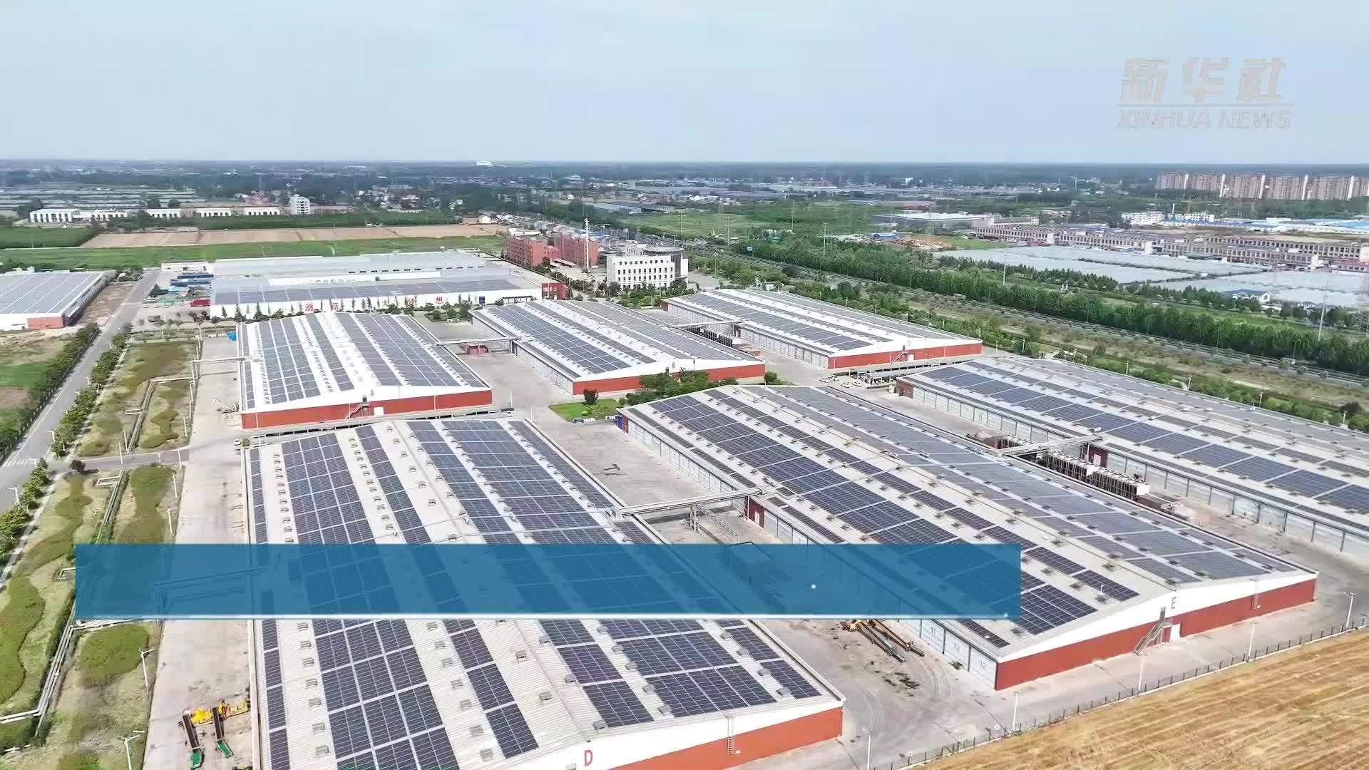 “两节”带动消费旺季 江苏灌南日供应千吨鲜菇