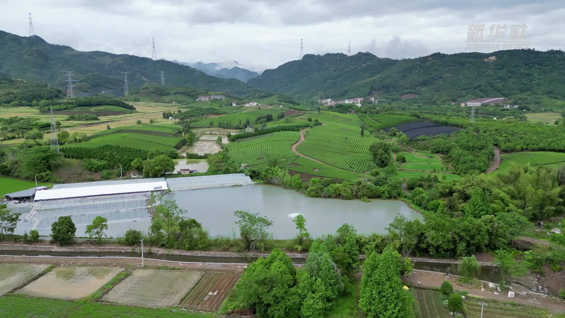 浙江金华：科技赋能 蚌苗变身“致富苗”