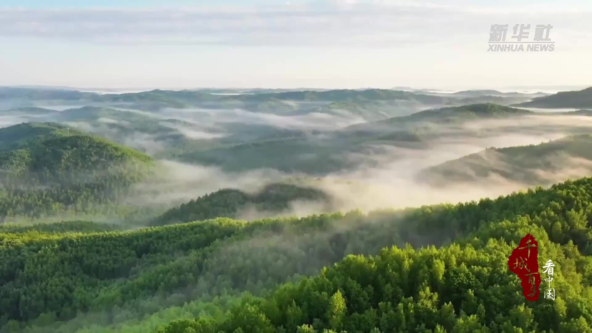 千城百县看中国｜黑龙江伊春：着力打造桦树汁特色产业