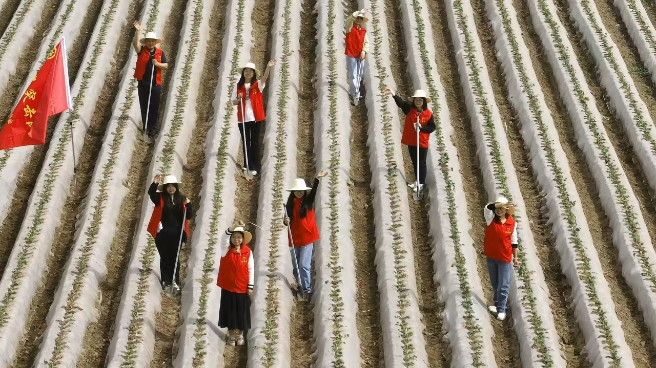 聚焦“三县五区”建设 扶风县“十四五”交出高质量答卷