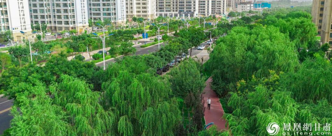 金川区带状公园廊道有效完善城区绿地系统功能，提升周边居民人居环境及生活幸福指数。