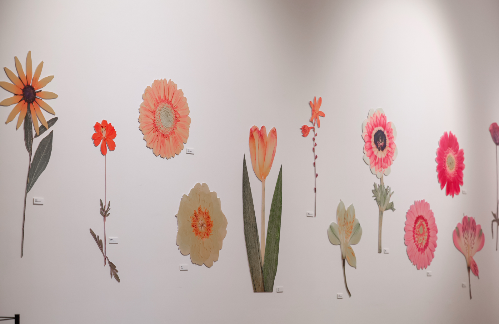 让艺术之光照进科学之城丨光明文化艺术中心2025周年艺术季暨开幕五周年发布会盛大举行