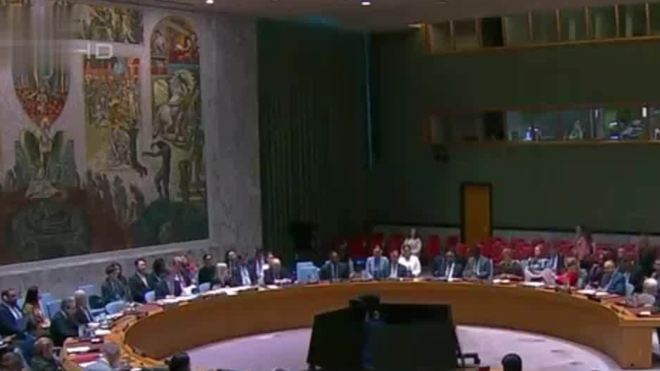 美国否决安理会要求加沙停火决议