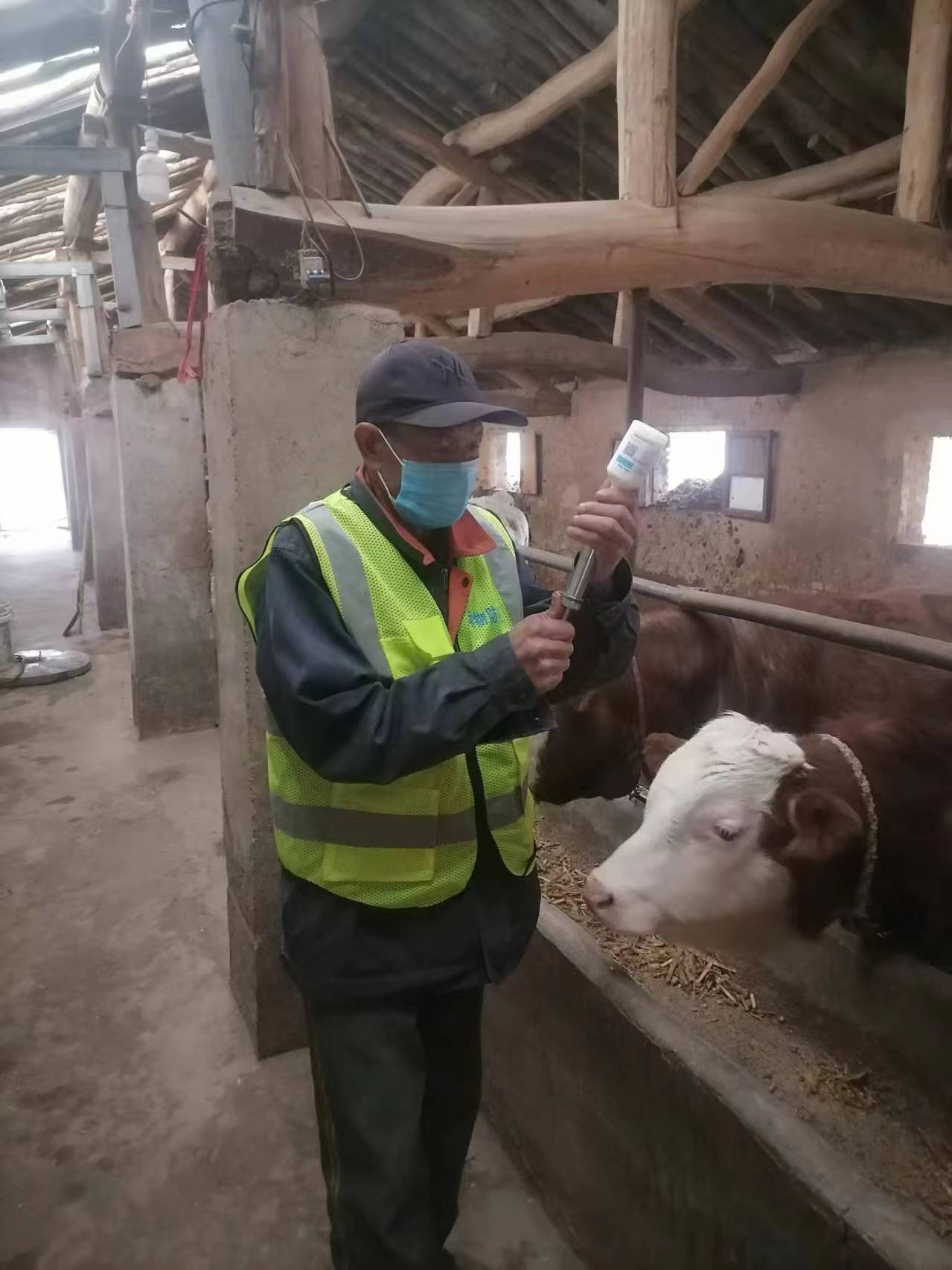 “应免尽免”无死角　甘肃崆峒秋防筑牢畜牧免疫屏障