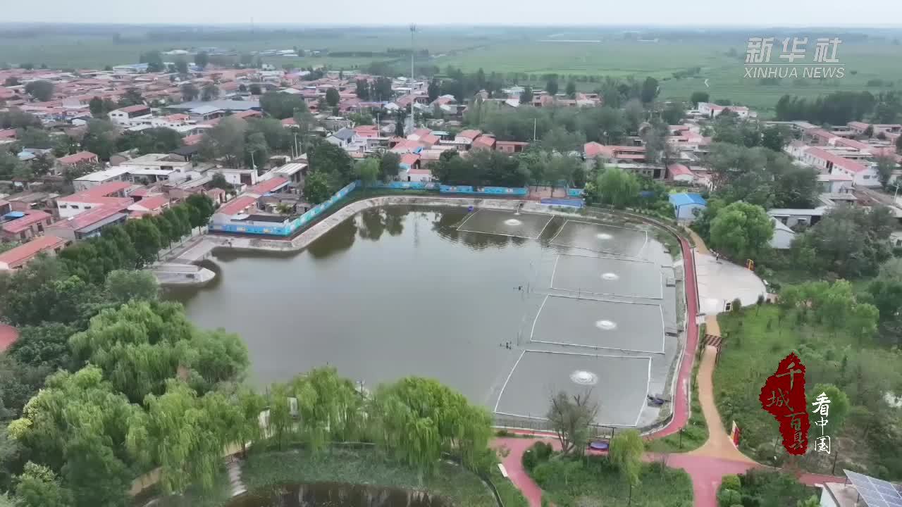 千城百县看中国｜山东冠县：废塘蝶变“金塘”生态种养富乡村