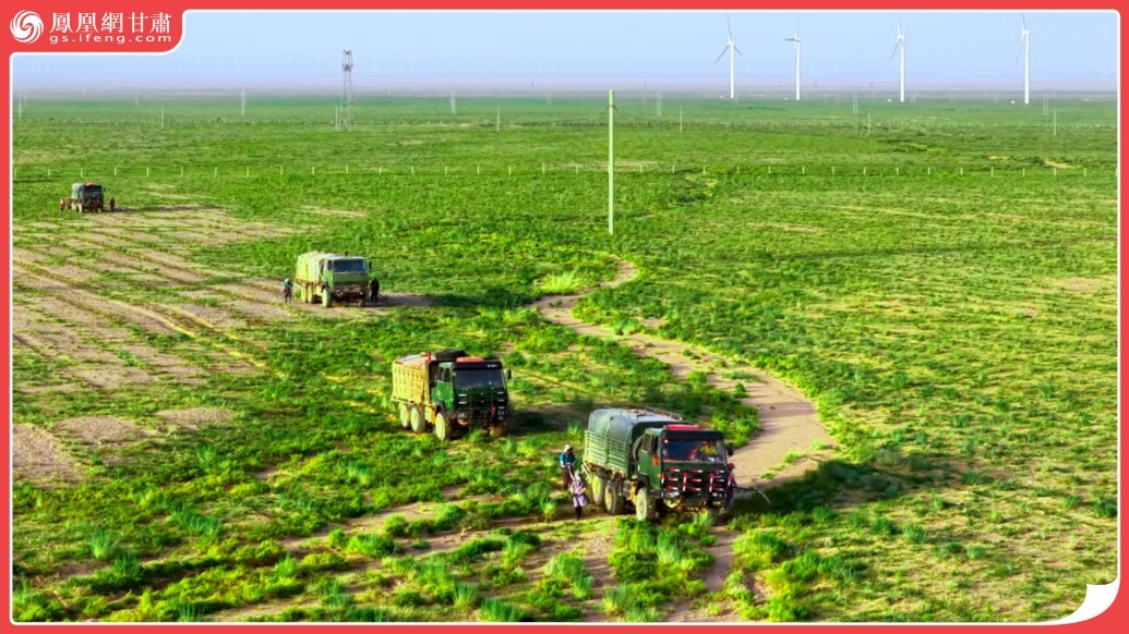 风闻丨“沙”出重围　甘肃金川玩转生态经济双赢局