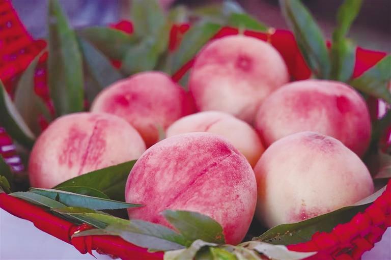 安宁白凤桃“甜蜜出圈”