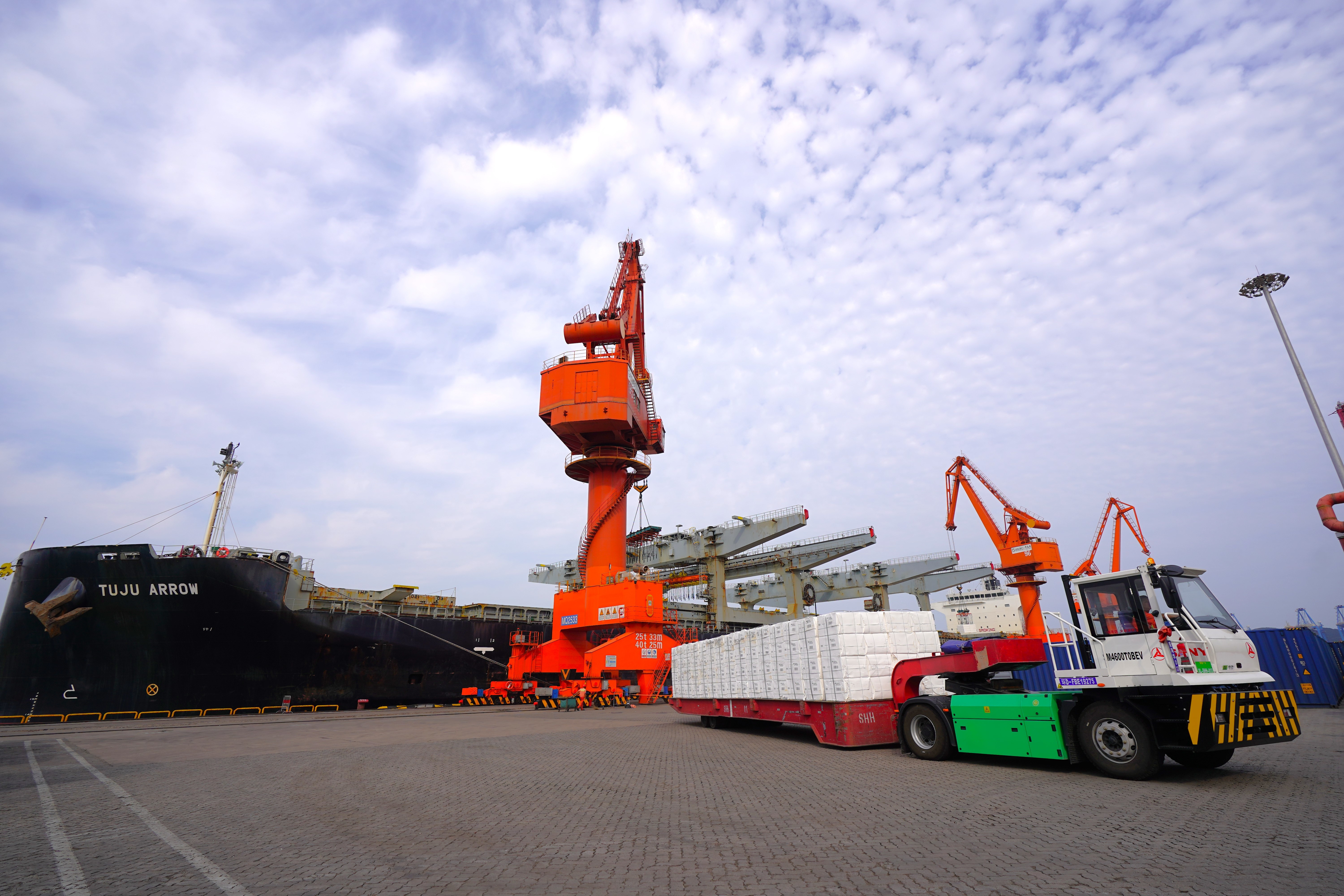 创历史新高！山东港口青岛港海铁联运纸浆发运量增长48%