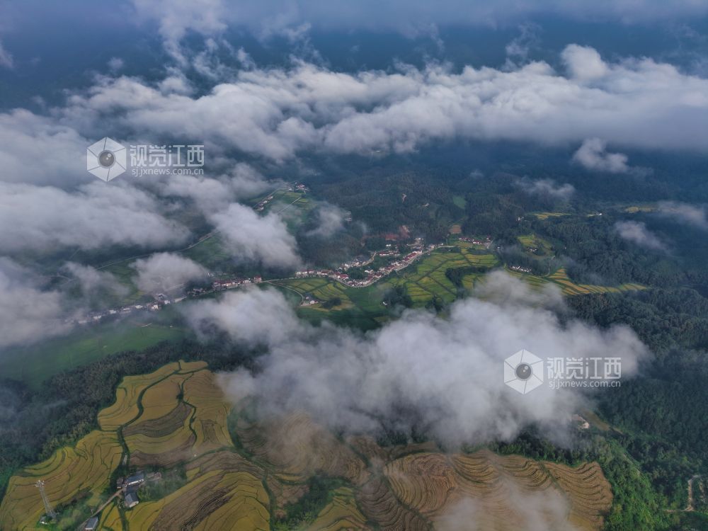 宜春：潭山梯田迎丰收图景（图）