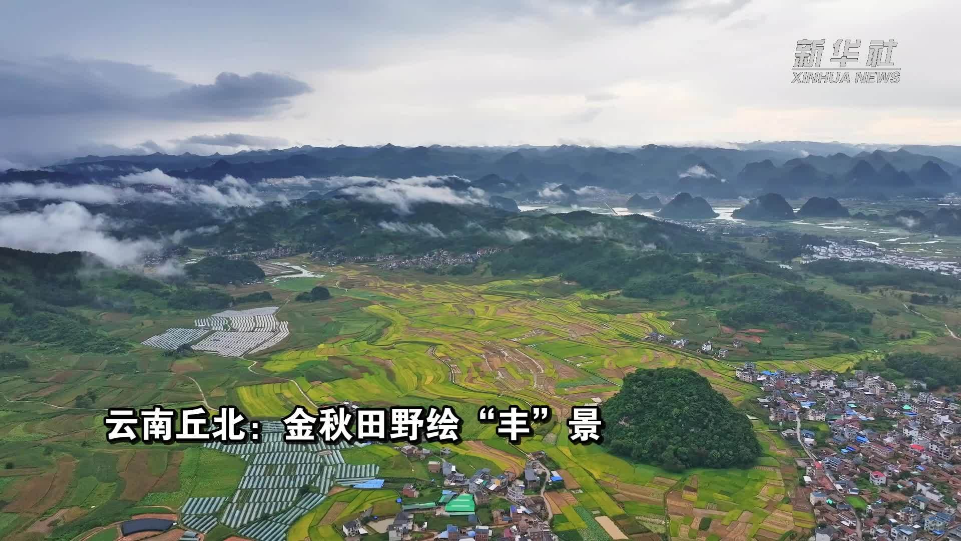 云南丘北：金秋田野绘“丰”景
