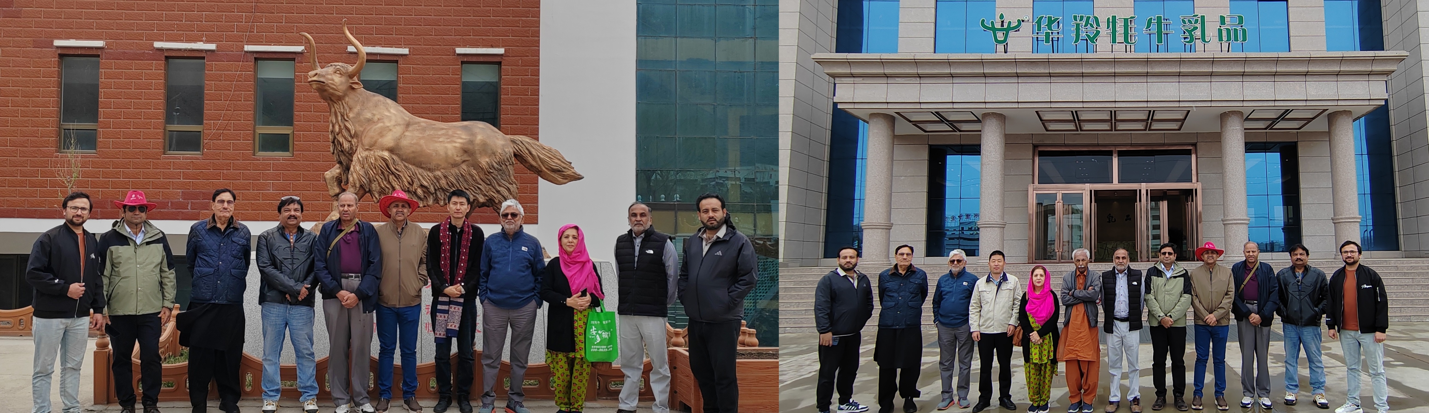 代表团在安多清真绿色食品有限公司及华羚乳品股份有限公司参观学习