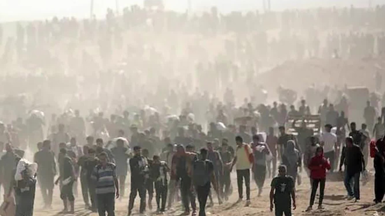 加沙地带已有超6.3万人死亡，这场人道主义的灾难究竟该怎么解决？