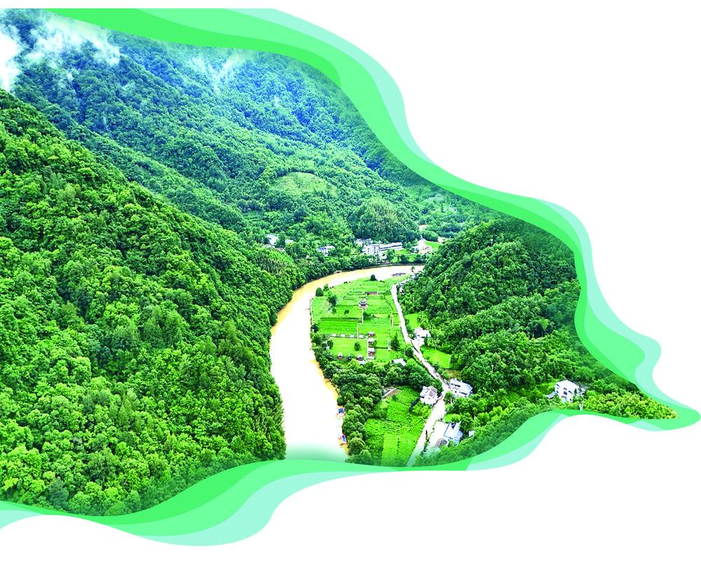 ▲康县阳坝景区