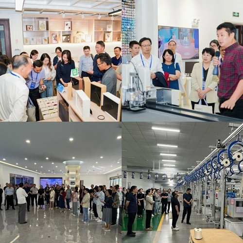 与会人员参观学习