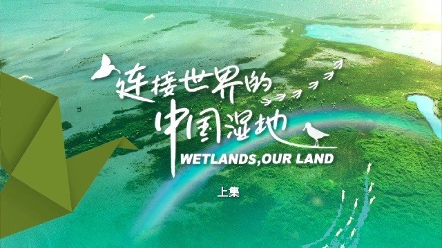 连接世界的中国湿地（上）