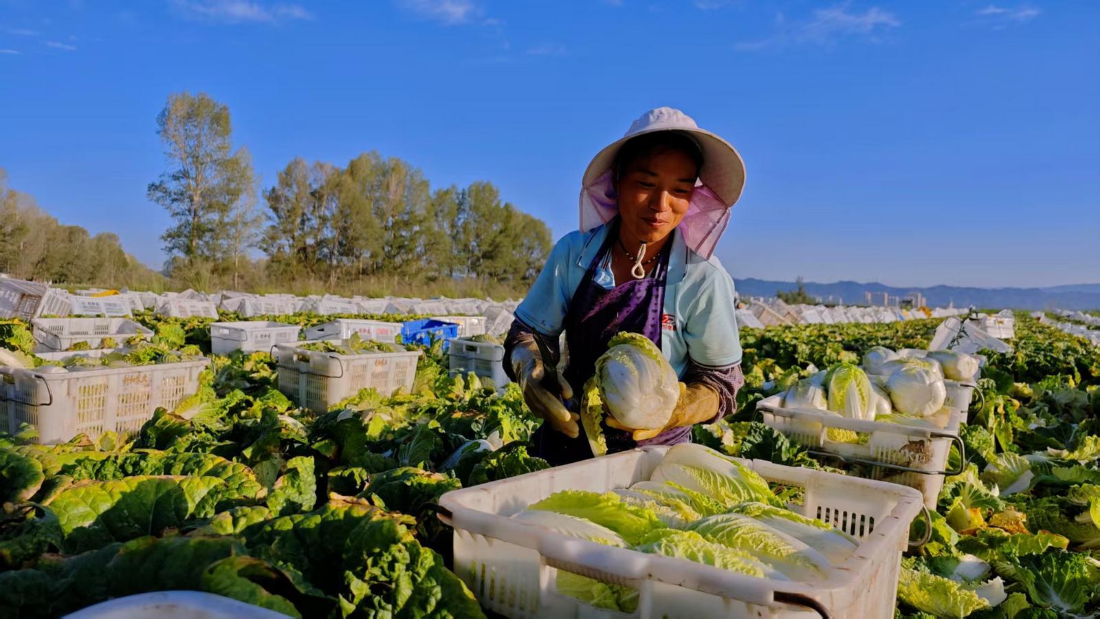 △网友　王勤德　摄
