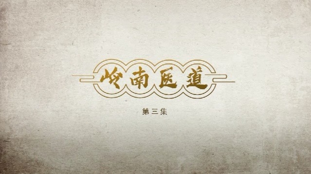 岭南医道：医药化学