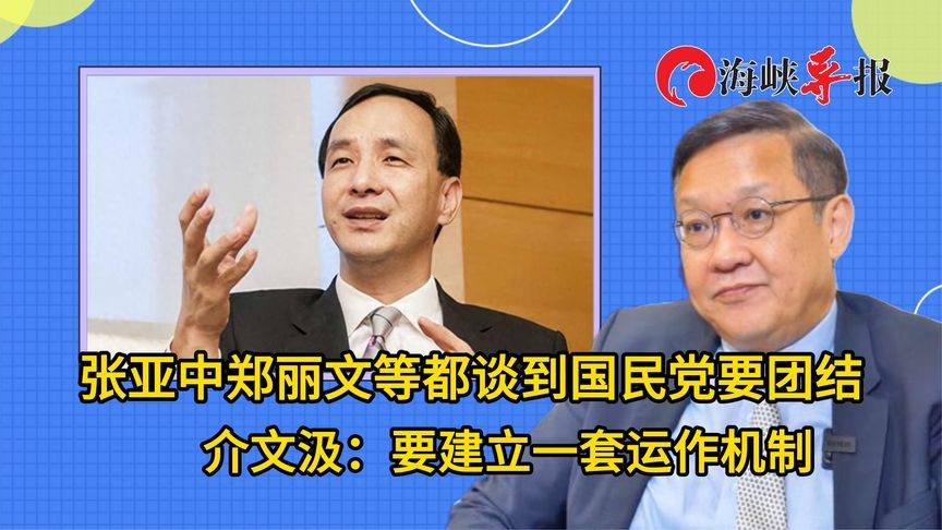 张亚中郑丽文等都谈到国民党要团结，介文汲：要建立一套运作机制